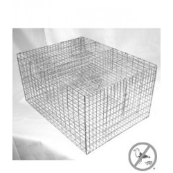 Bird B Gone BMP-SP2C Sparrow Trap with Two Chambers