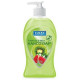 Delta Brands 10365-12 Liquid Hand Soap, Fresh Kiwi Melon, 13.5 oz.