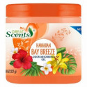 Delta Brands 11633-12 Odor Absorbing Gel Hawaiian Bay Breeze