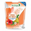 Delta Brands 92911-12 Scented Candles Tropical Sunrise