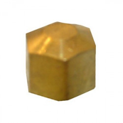 Larsen Supply Co 17-6183 Brass Compression Cap 5/16"