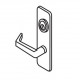 ACCENTRA (formerly Yale) 420F Escutcheon Trim w/ Lever For Exit Device, Less Cylinder