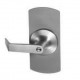 ACCENTRA (formerly Yale) 580F Rose Trim w/ Escutcheon Plate & Lever For Exit Device, Standard Cylinder